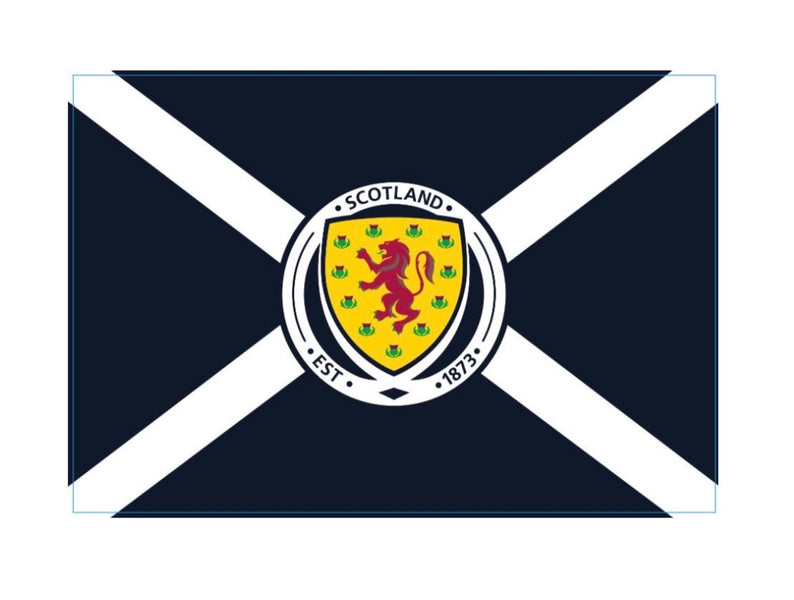 5 x 3 Flag